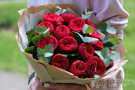 Букет из 15 красных пионовидных роз "Час пик"